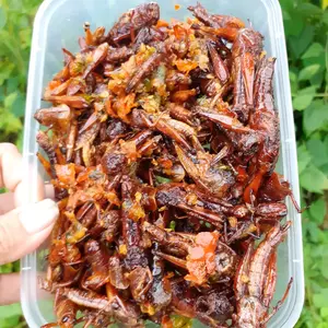 walang kayu goreng rasa pedas dengan bumbu pilihan tradhisional dengan bahan pokok yang bagus dari petani dimasak tanak tanpa bahan pengawet