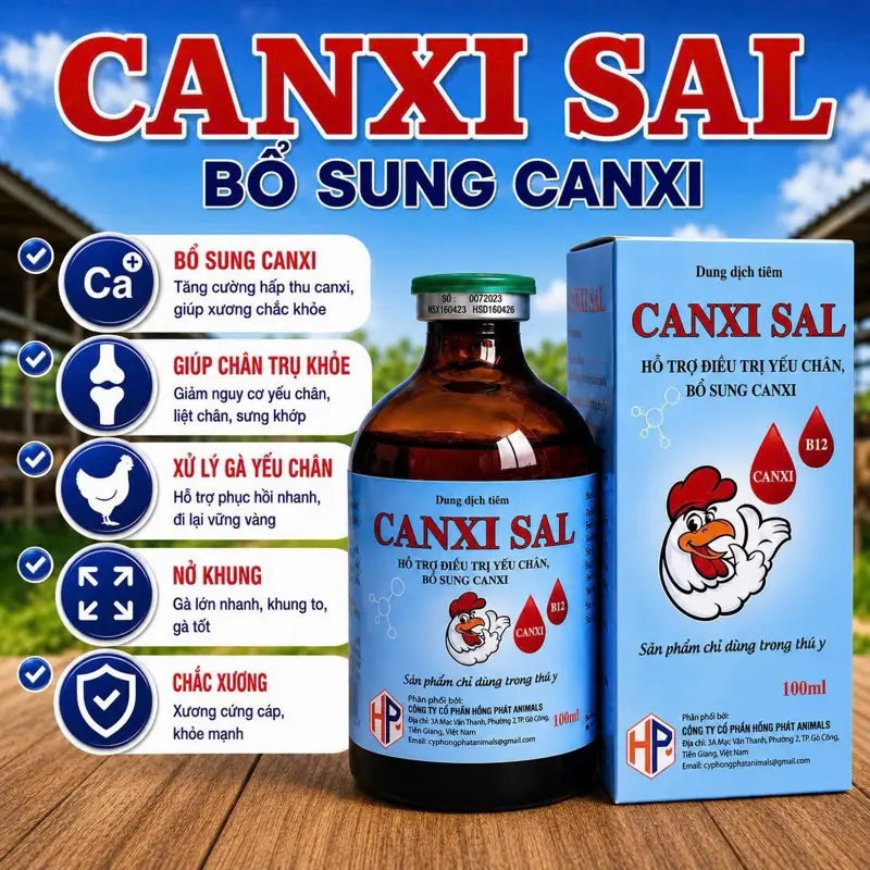 CANXISAL B12-CATOSALL dùng cho gà thiếu canxi, kích thích ăn mạnh, hạn chế yếu chân, khắc phục gà yếu chân trụ, chắc xương, nuôi gà định kì