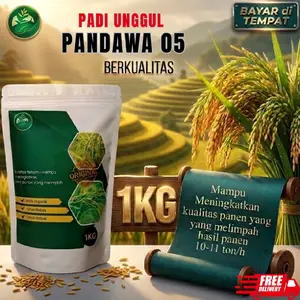 benih padi unggul Pandawa 05 kemasan 1kg original