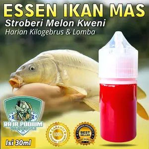 Essen STROBERRI MELON KWENI MELATI Khusus Mancing Ikan Mas, Essen Oplosan Ikan Mas Paling Gacor Segala Umpan, Essen Ikan Mas Segala Cuaca Siang Malam, Essen Ikan Mas Babon Rame Original Raja Podium