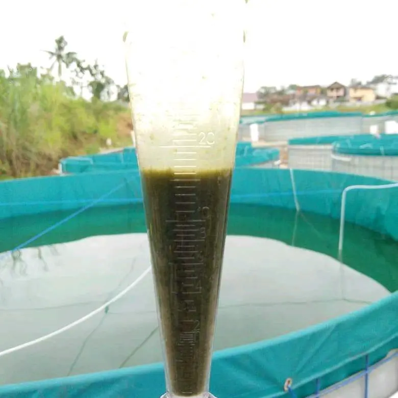 Probiotik Ikan Nila Dan Lele Bioflokulan 4