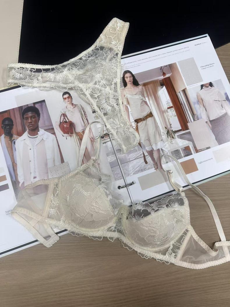 Product Introduction of Embroidery Lace Thin Cotton Underwear Transparent Lingerie Sets For Women Sexy Push Up Gather Fashion Lady Bra And Panty Sets 20