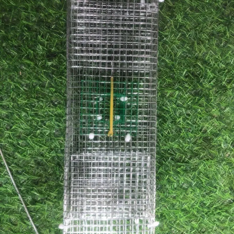 Lồng bẫy rắn mối 2 cửa, có hộp mồi riêng ở giữa