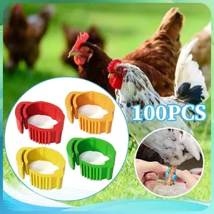 Gelang Ayam Kaki Ring Kaki Ayam Bangkok 100pcs Klip Plastik Cincin Ring Cincin Kaki Ditarik
