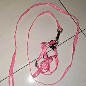 Harness Kucing Y Tali Tuntun Kucing Kelinci Tali Kalung Kucing Warna 120cm