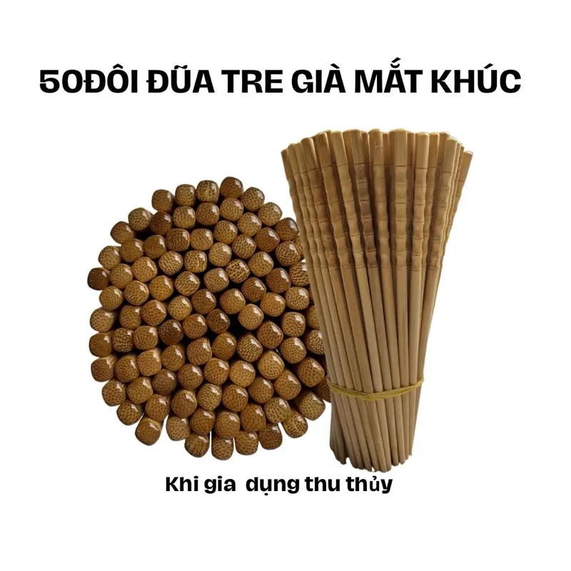 50 ĐÔI ĐŨA TRE MẮT KHÚC ĐŨA TRE GIÀ CHỐNG MỐC MỌT