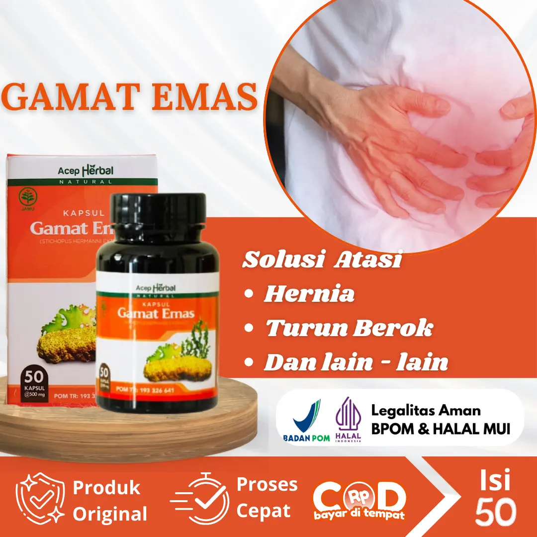 GAMAT EMAS original Kapsul untuk Mengatasi Hernia, Turun Berok, dan Varikokel Testis IsI 50 Kapsul BPOM Halal MUI herbal