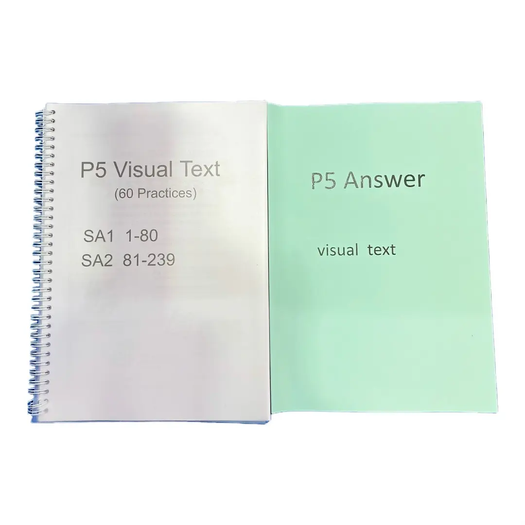 P5 Visual Text practice paper