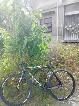 Solana Army Green Fixie SOLANA RANGER CONTOUR S300 FIXIE ALLOY