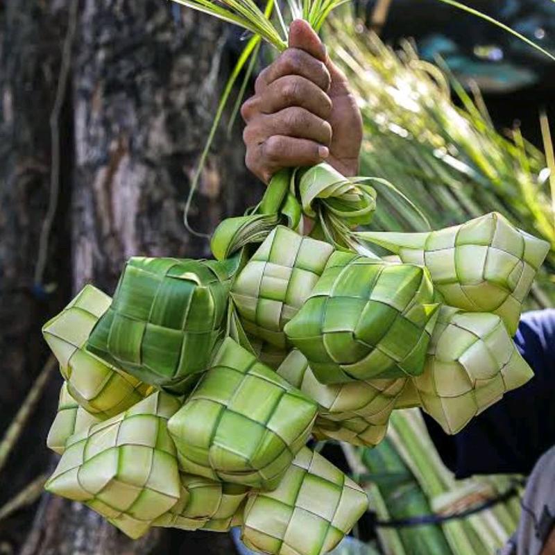 Cangkang ketupat - Jual cangkang ketupat kosong segar paket 10 pcs 2
