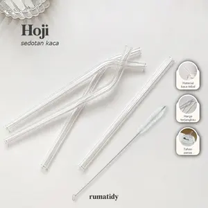 HOJI Sedotan / Sikat Sedotan Kaca Clear Bengkok/Lurus 18cm 20cm Sedotan Hitam Sikat Sedotan