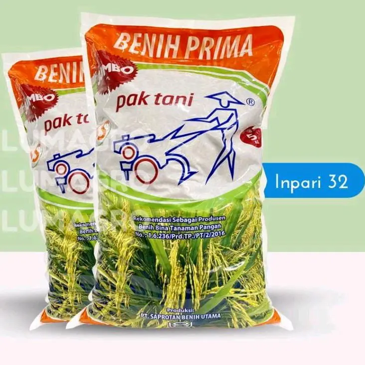 BENIH PADI INPARI 32 PAK TANI JUMBO 5 KG BISA COD 0