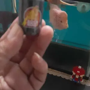 Vitamin Burung Kenari Rock n Roll Kenari Paud/Macet Jadi Gacor penggacor