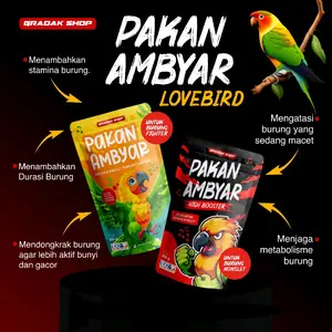 Pakan Burung Lovebird Ambyar