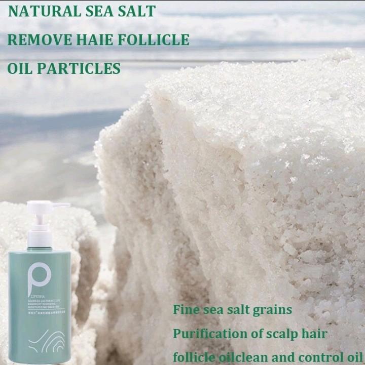 shampo anti ketombe penghilang ketombe anti gatal shampo sea salt shampo tungau amino 2