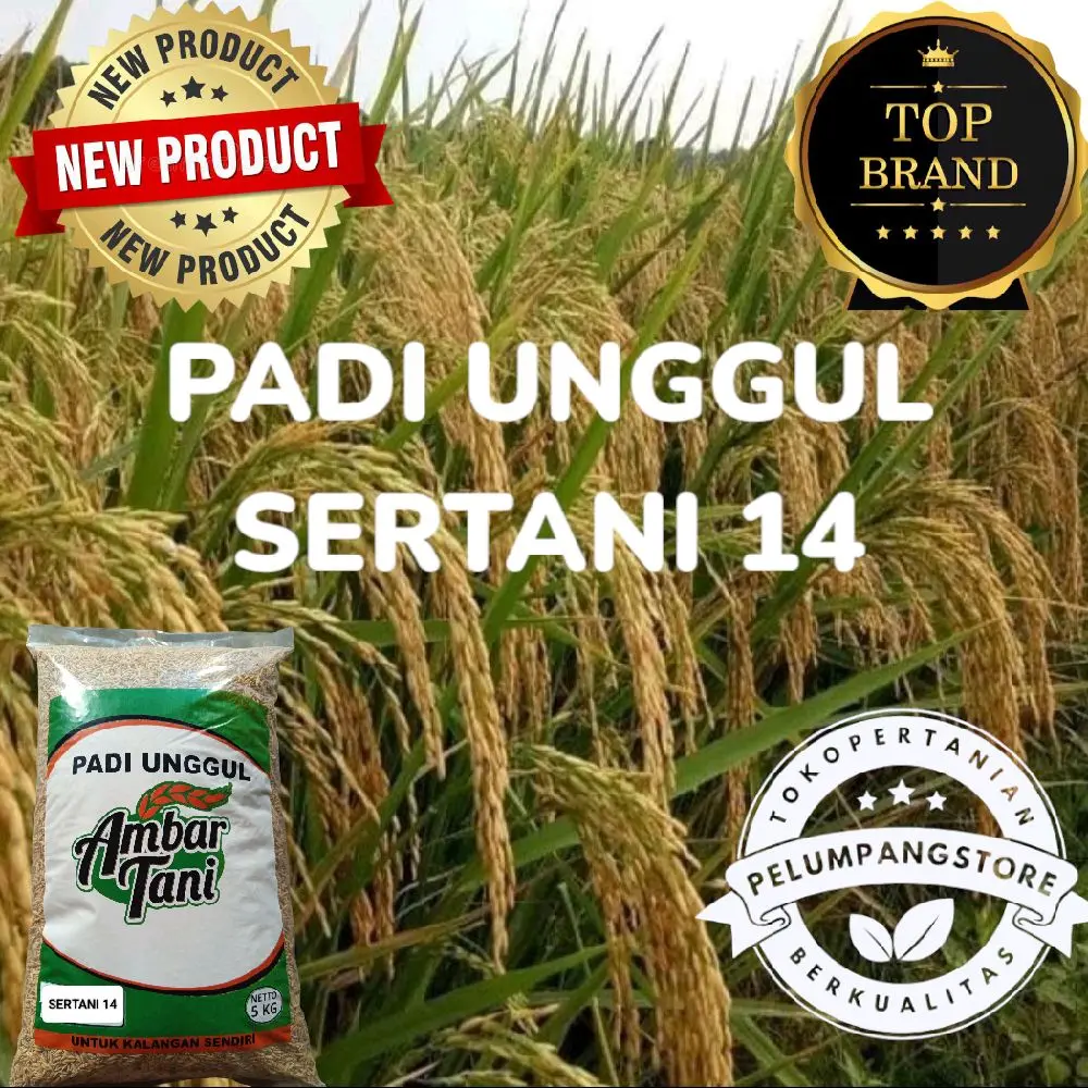 Benih Padi Unggul Sertani 14 Bibit 5 kg ORIGINAL PRODUK