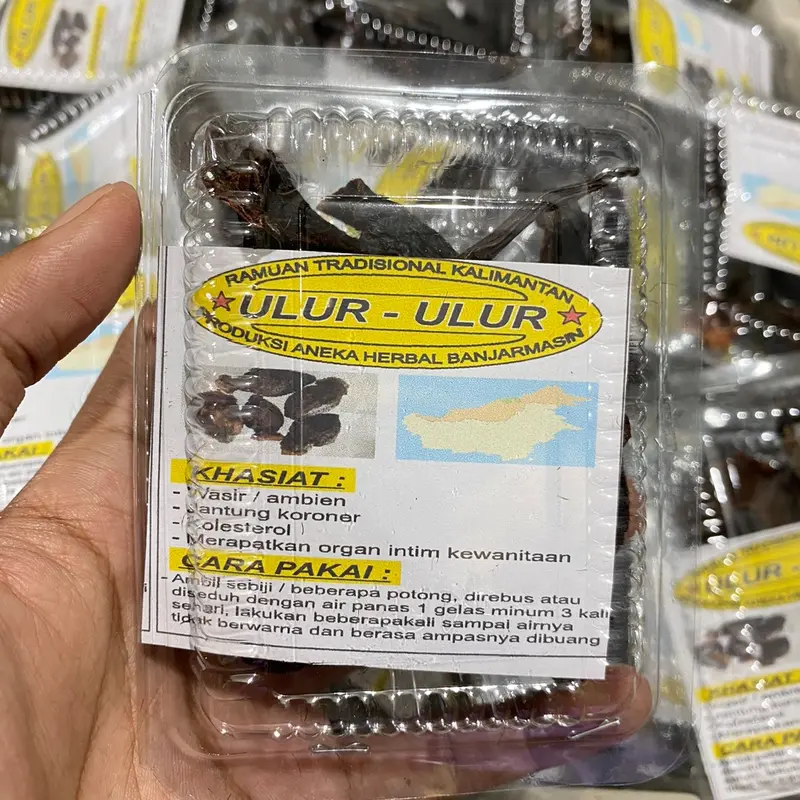 Buah Ulur Ulur Asli 100% Ramuan Tradisional Kalimantan mengobati ambien 3