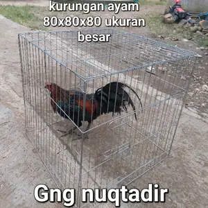 kandang ayam besi bisa di lipat ukuran jumbo 80x80x80 cm bahan tahan karat kokoh di lengkapi dengan pintu dan bagian atas bisa buka tutup