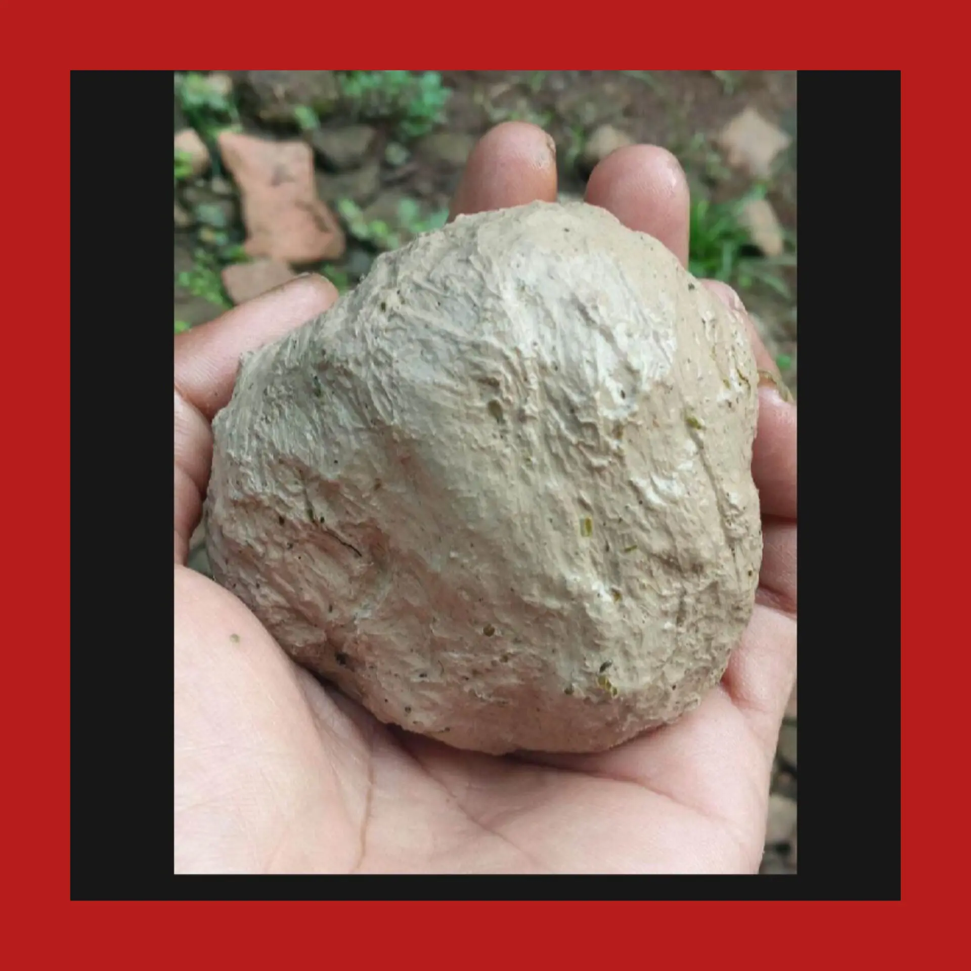 PULUT BURUNG SUPER LENGKET 100 GRAM/PULUT LEGEUT BURUNG ANTI ZONK ISI 100 GRAM