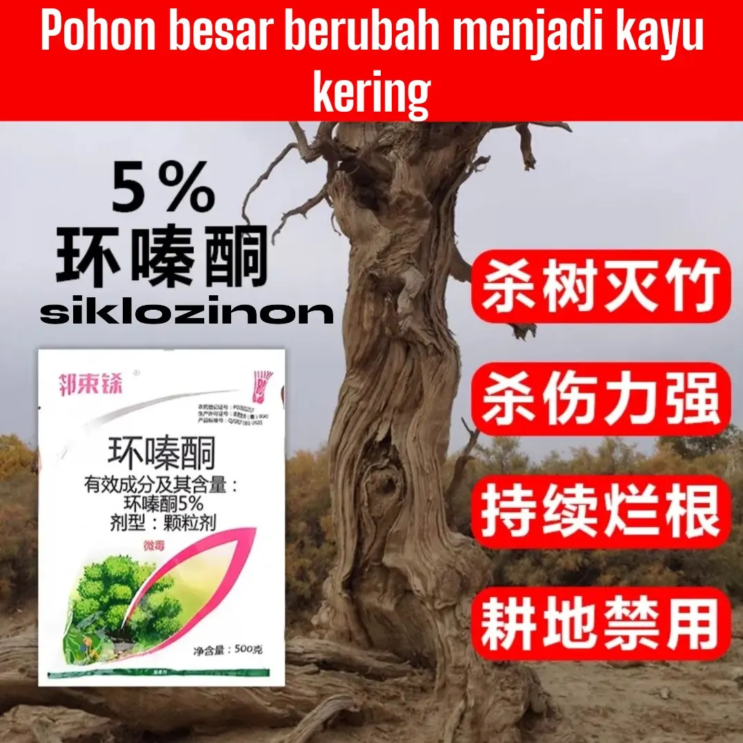 Artefak siklozinon Cyclazinone menghilangkan pohon-pohon besar, bambu, semak, penyiangan yang kuat, dan akar busuk