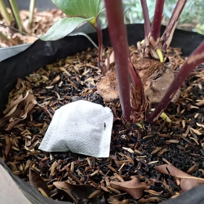 Koleksi Baru Pupuk Organik Bentuk Kantong Siap Pakai Kemasan 5 Gram Koleksi Baru