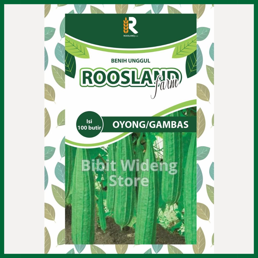 ( 100 Benih ) Sayur Oyong | Gambas | Emes Panjang | Bibit Gambas Oyong