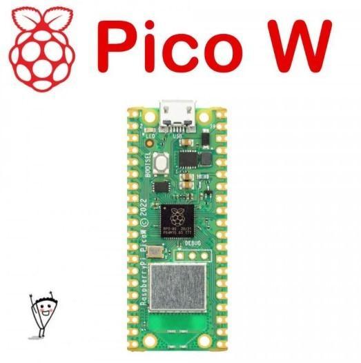 Jual Raspberry Pi Pico W - Wireless - Kota Batam - ROBOTIC SHOP_NEW ...