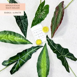 SFS - [SINGLE STALK DAUN KELADI] DAUN HIAS RUMAH RUANG TAMU SATU TANGKAI DAUN KELADI PER TANGKAI