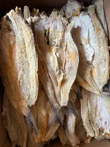 IKAN ASIN GABUS LAUT ATAU BLOSO-KUALITAS PREMIUM KIRIM KERING 100%