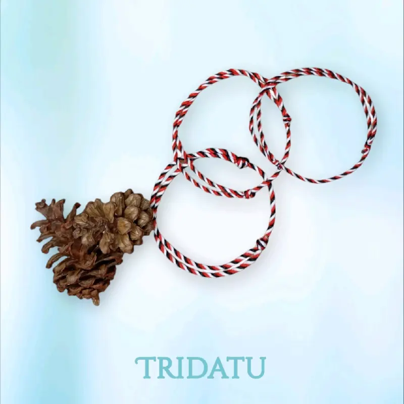NC Gelang Tridatu Asli Gelang Telon Khas Bali Original 1mm Bracelet Aksesoris Fashion Benang Merah 3