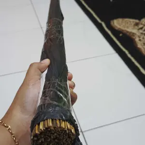 sapu lidi termurah cod terbaru promo 2025