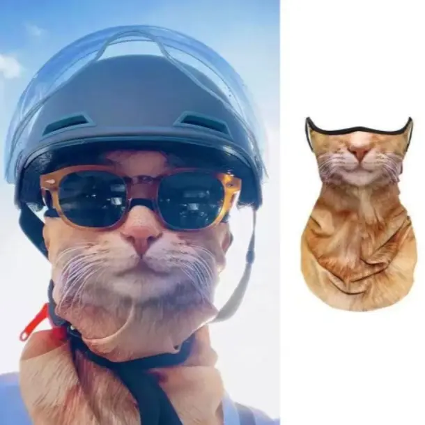 Kucing Oranye Yang Tampan