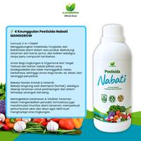 Gambar Pestisida Nabati 500 ML Formula 3-in-1 Aman Lingkungan untuk Penyakit Tumbuhan & Hama Serangga Organik Efektif dan Biodegradable dari Manggrow Official Shop Kab. Sukoharjo 2 Tokopedia