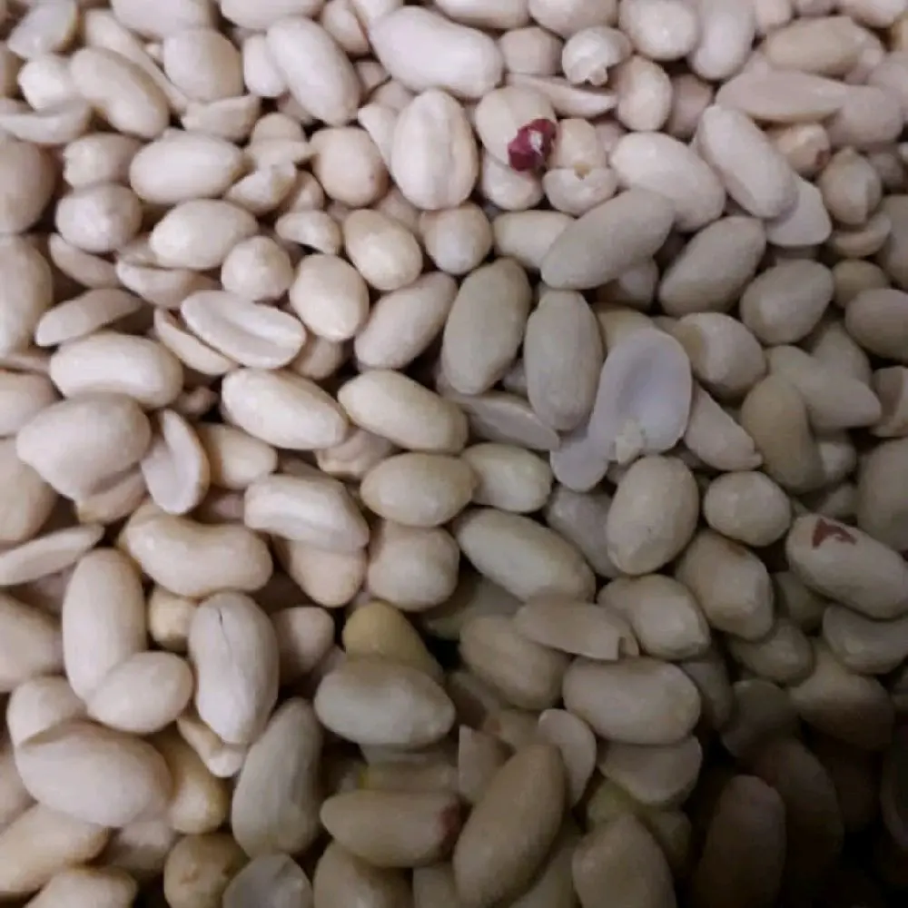 Kacang Tanah Mentah Super 1kg. Asli dari petani lokal