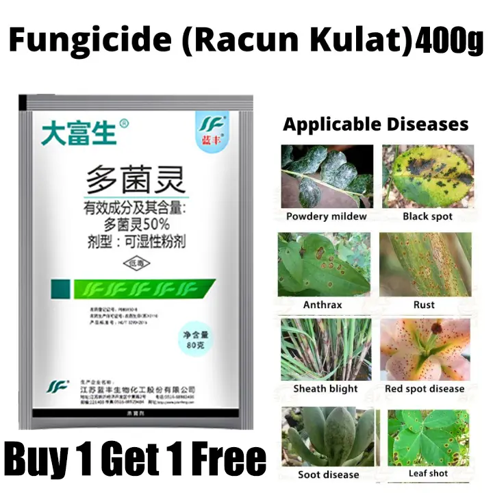 Compensation if brokenFungicide, Carbendazim, Cactus succulent  insecticide, Carbendazim 50% 400g, Wheat fusarium, Rice and rapeseed  fungus, Pure cotton mixed, Carbendazim for home potted flowers and plants -  TikTok Shop Malaysia