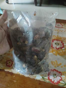 Product Review of Kurma Sayer 1 Kg Kurma Manis from O**e 1** 1