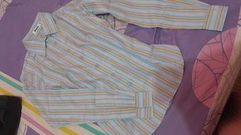 Product Review of Wispie Girl Boss Fitted Shirt | Kemeja kerja wanita fit garis stripe karet Lembut pink hijau biru from s**s 0