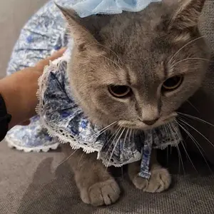 Pawlovin - Hair Clip Jepitan Bulu Anabul