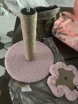 Product Review of Kojima Pet Training Pad Sheet Pee Cat Dog Trays from m**2 0