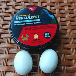 2 Pcs Telur Mainan Burung Merpati untuk Bermain