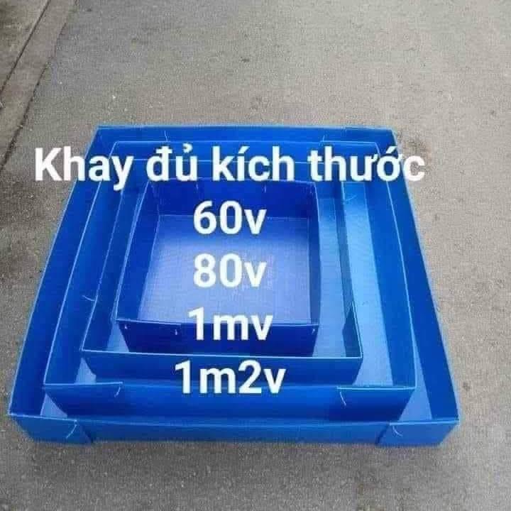 Khay chuồng gà, khay nhựa chuồng gà, khay đựng cát 0