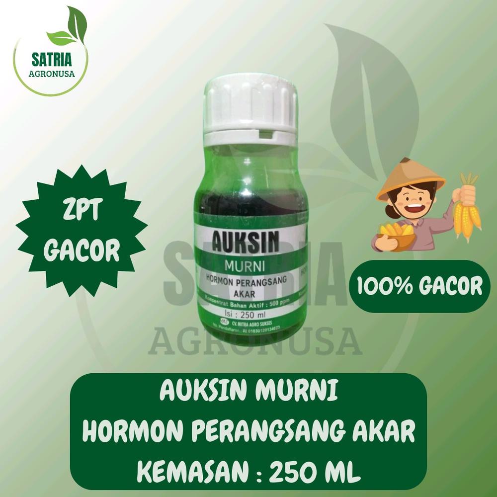 AUKSIN MURNI 250 ML - HORMON PERANGSANG AKAR