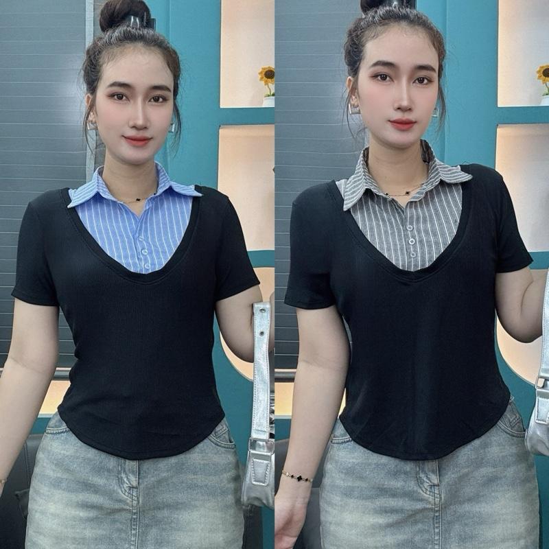 Áo thun BigSize (40-85kg) ÁO THUN CỔ PHỐI SƠ MI (MS 464) Chất thun tăm co giãn From gọn dáng