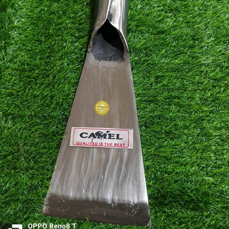 DODOS SAWIT CAMEL PUTIH PREMIUM 4
