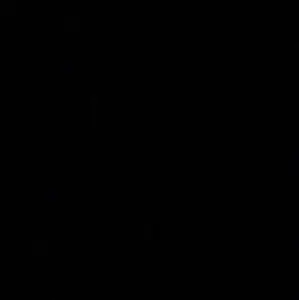 ..............................