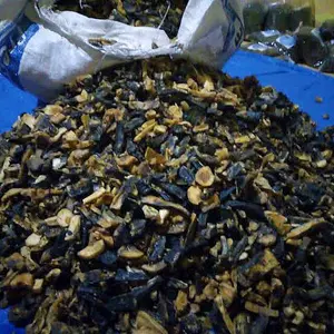 gatot instan khas Trenggalek