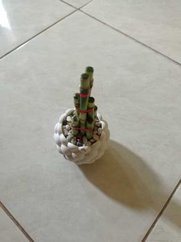 Product Review of Vas Gipsum dengan Berbagai Macam Bentuk Unik dan Lucu from a**a 0