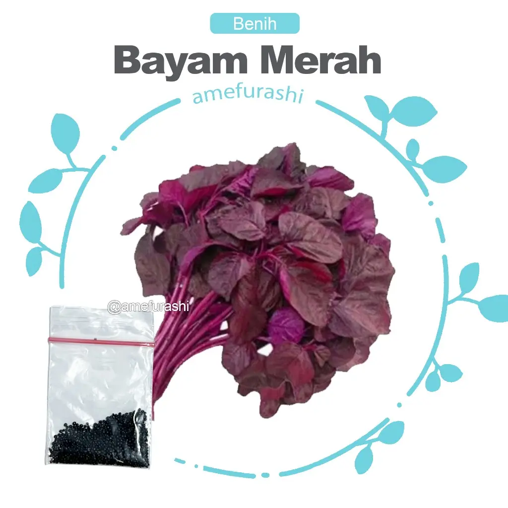 Bayam Merah