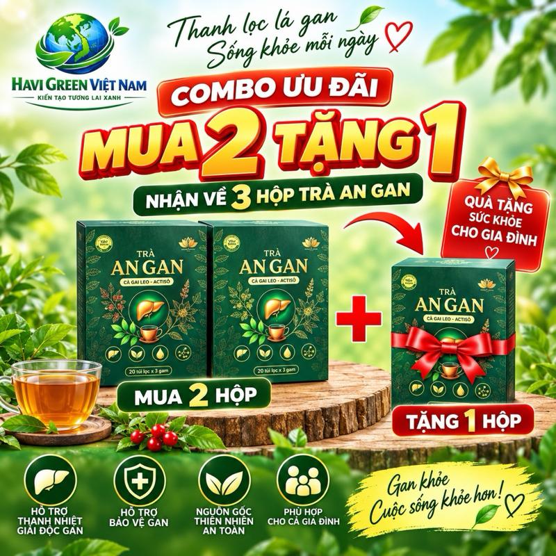 Combo mua 2 tặng 1 trà AN GAN