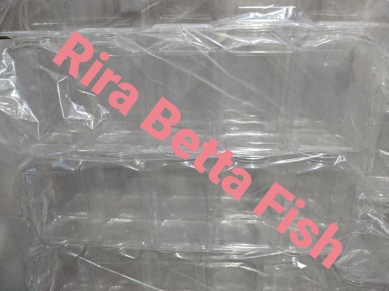 toples cupang 4 liter kotak polos tanpa list 2